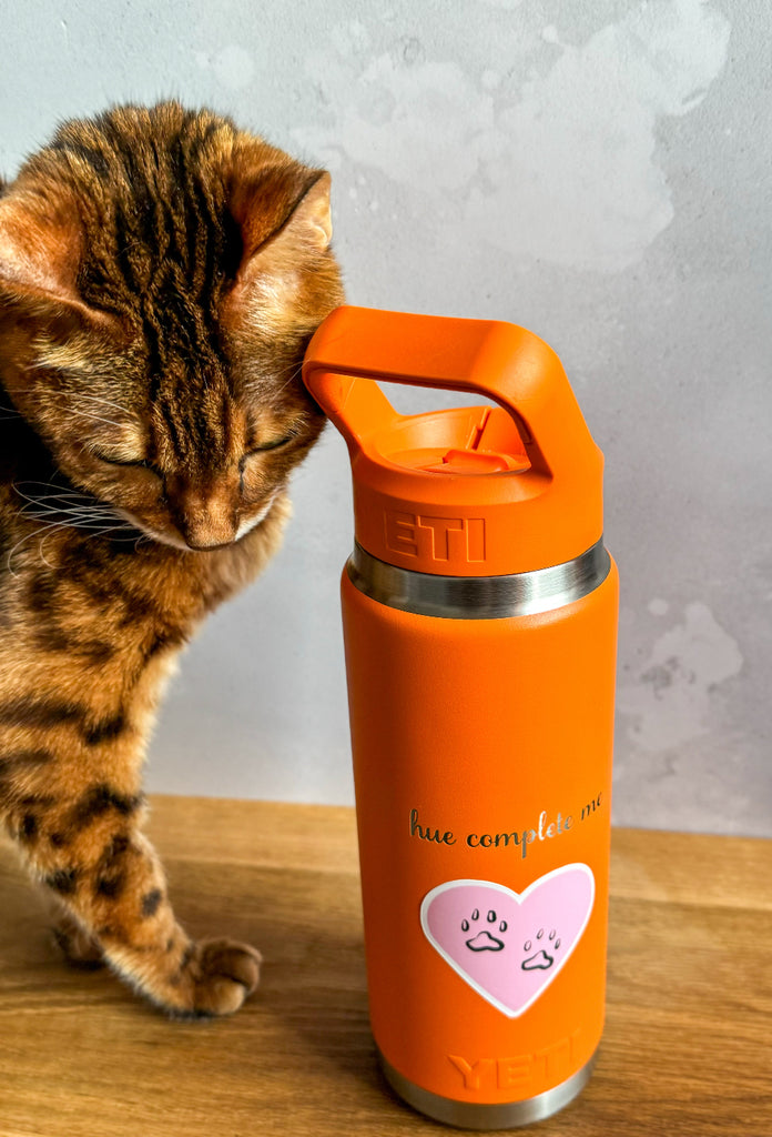 cat with a water bottle that has a cat paws vinyl sticker on it
