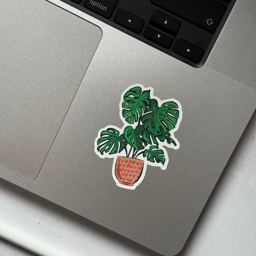 monstera sticker on a laptop 